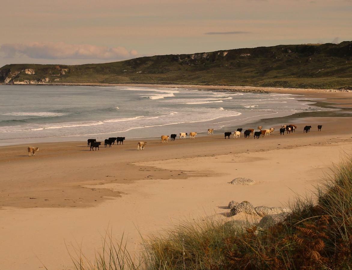 Glen Haven Bed And Breakfast Ballycastle Exteriér fotografie
