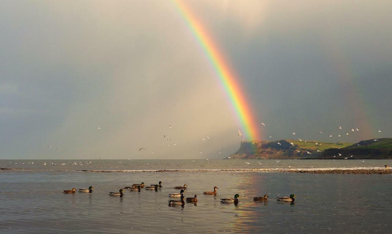 Glen Haven Bed And Breakfast Ballycastle Exteriér fotografie